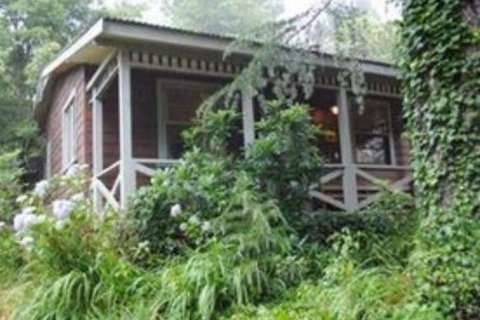 Bygone Beautys Cottages - Sunshine Coast Tourism 4