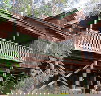 Barrington Wilderness Cedar Lodge Accommodation - Holiday Sunshine Coast