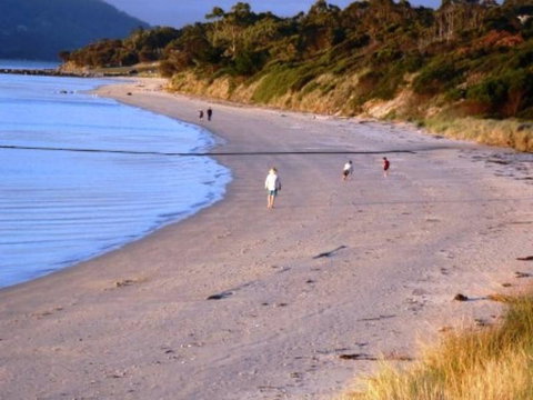 The Tree House - Sunshine Coast Tourism 5