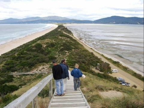 The Tree House - Sunshine Coast Tourism 6