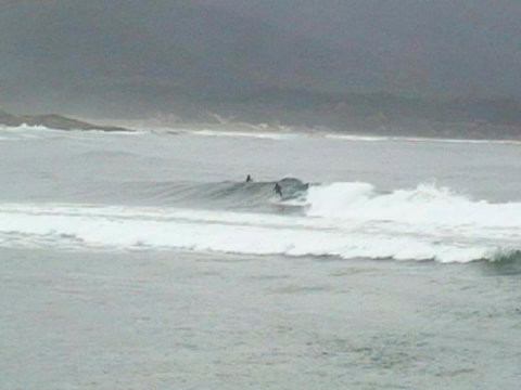 The Tree House - Sunshine Coast Tourism 2