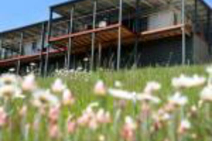 Abels Bay TAS Holiday Sunshine Coast