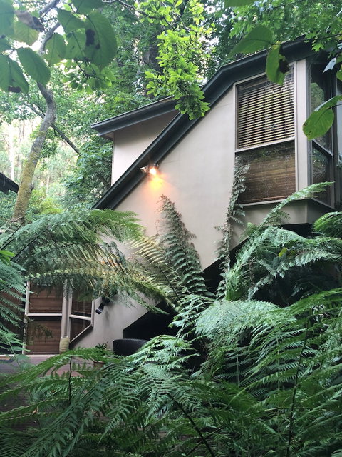 Linden Gardens Rainforest Retreat - Holiday Sunshine Coast 2
