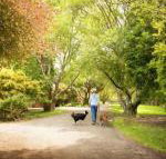 Johanna River Farm  Cottages