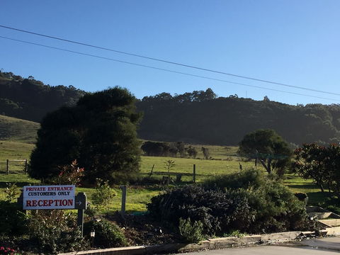 Skenes Creek Lodge Motel And Restaurant - Sunshine Coast Tourism 1