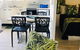 Maroochy River Resort Bungalows - thumb 6