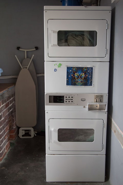 1849 Backpackers Hotel - Sunshine Coast Tourism 6