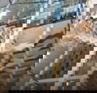 Platinum Suites Fremantle