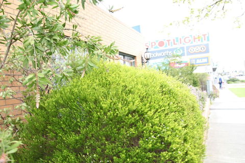 Carnegie Motor Inn - Sunshine Coast Tourism 0