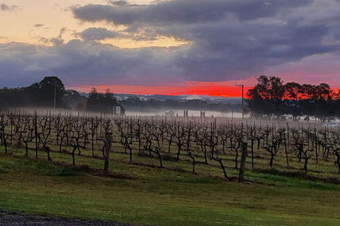 Adina Vineyard - Holiday Sunshine Coast 4