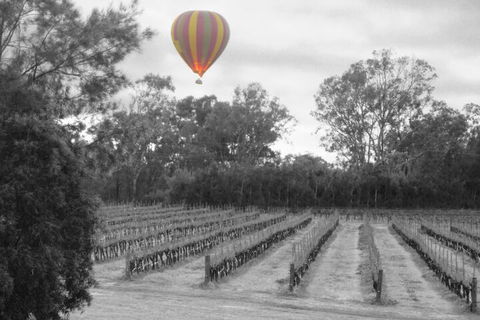 Adina Vineyard - Holiday Sunshine Coast 5