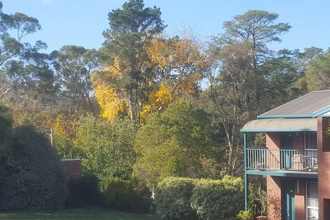 Hepburn Springs Motor Inn - Sunshine Coast Tourism 5