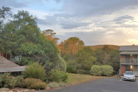 Hepburn Springs Motor Inn - Sunshine Coast Tourism 4