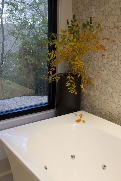 Saltus Luxury Accommodation - Sunshine Coast Tourism 6