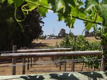 Big Brook Cottages - Holiday Sunshine Coast 4