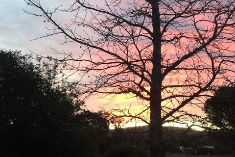 Idlewilde Town & Country Motor Inn - Holiday Sunshine Coast 1