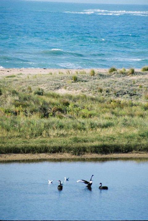 Apollo Bay Guest House - Holiday Sunshine Coast 6