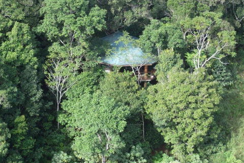 Mt Quincan Crater Retreat - Holiday Sunshine Coast 6