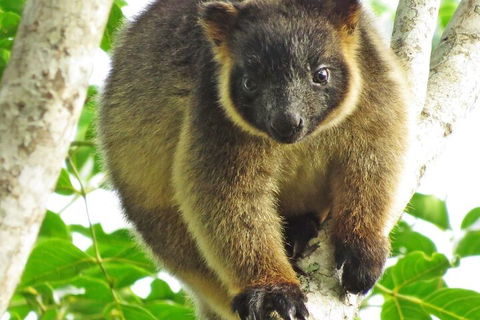 Mt Quincan Crater Retreat - Holiday Sunshine Coast 2