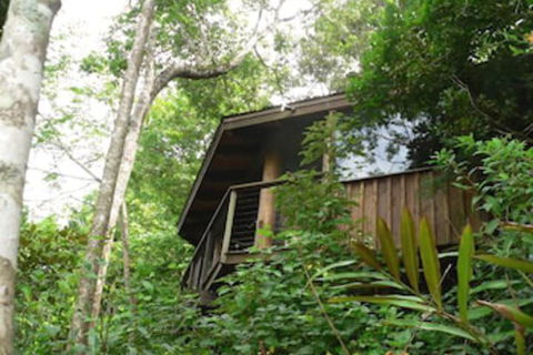 Mt Quincan Crater Retreat - Holiday Sunshine Coast 5