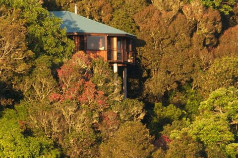 Mt Quincan Crater Retreat - Holiday Sunshine Coast 4
