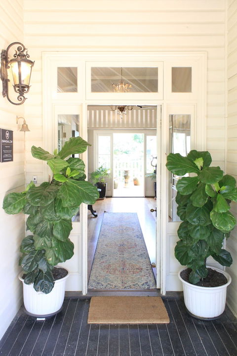 Bangalow Guesthouse - Sunshine Coast Tourism 0