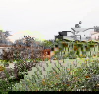 A Must At Coonawarra - Holiday Sunshine Coast