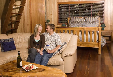 Springbrook Lyrebird Retreat - Holiday Sunshine Coast 5