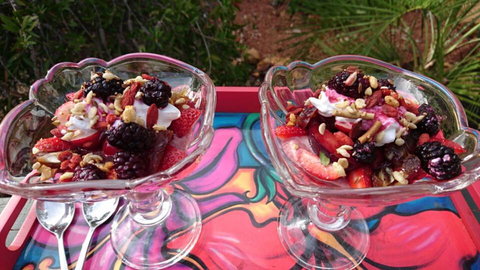 Natures Paradise - Holiday Sunshine Coast 2