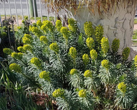 Golden Age Motor Inn Queanbeyan - Sunshine Coast Tourism 2