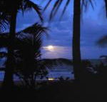 Sejala Beach Huts - Holiday Sunshine Coast