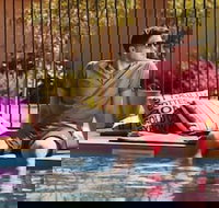 Capricorn Village - Holiday Sunshine Coast