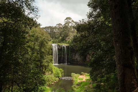 The Belfry Guesthouse - Holiday Sunshine Coast 3