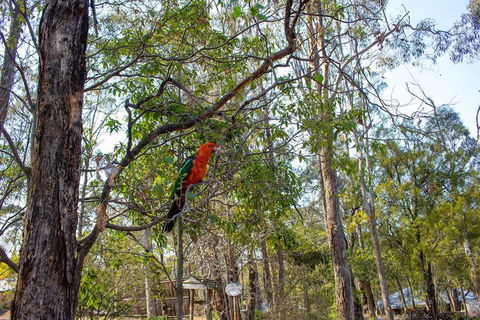 Kalimna Woods Cottages - Holiday Sunshine Coast 2