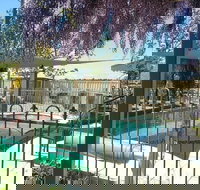 Must Love Dogs Bb - Sunshine Coast Tourism