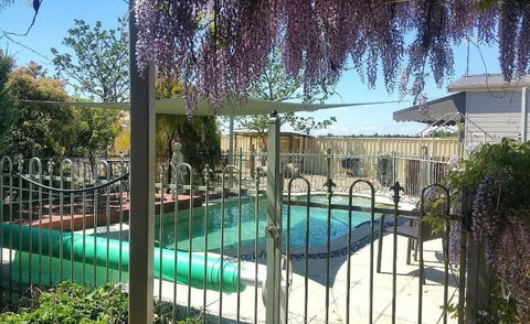 Must Love Dogs B&b - Holiday Sunshine Coast 0
