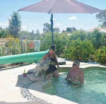 Must Love Dogs B&b - Holiday Sunshine Coast 1