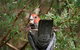 Shearwater Cottages - thumb 1