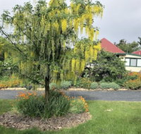 Hamlet Downs Country Accommodation - Sunshine Coast Tourism