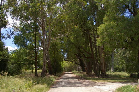 Stanley Goose Cottage - Sunshine Coast Tourism 2