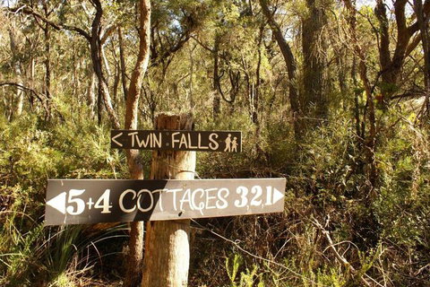 Twin Falls Bush Cottages - Holiday Sunshine Coast 3