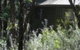 Twin Falls Bush Cottages - thumb 0
