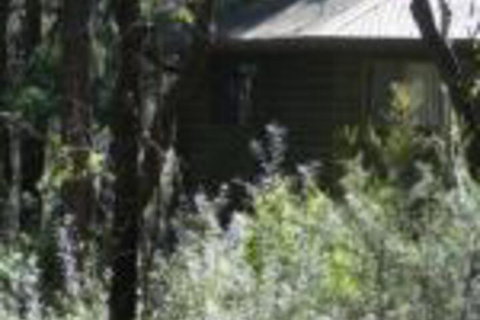 Twin Falls Bush Cottages - Holiday Sunshine Coast 0
