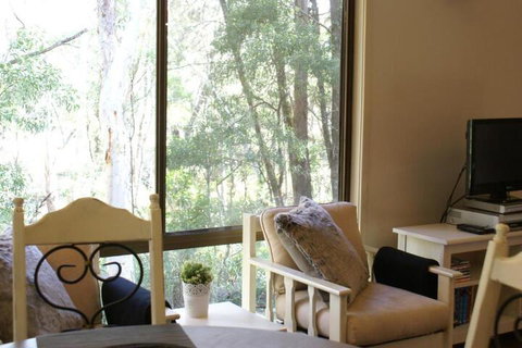 Twin Falls Bush Cottages - Holiday Sunshine Coast 6