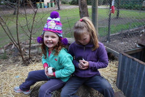 Fernleigh Farmstay & Bike Park - Sunshine Coast Tourism 3
