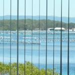 Montgomery Apartments - Holiday Sunshine Coast 1