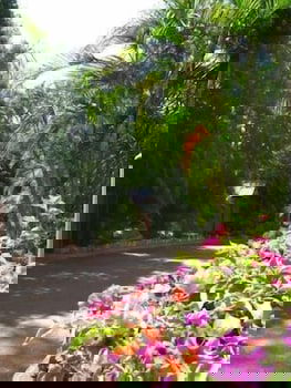 Ivanhoe Village Caravan Resort - Sunshine Coast Tourism 2