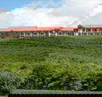 Turners Vineyard Motel and Function Centre - Sunshine Coast Tourism