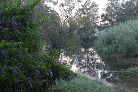 Serendipity On Allyn - Sunshine Coast Tourism 7