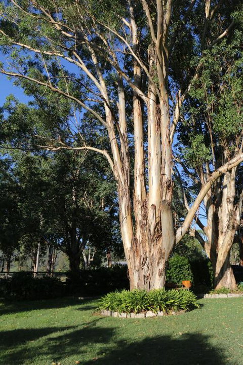 Serendipity On Allyn - Sunshine Coast Tourism 5